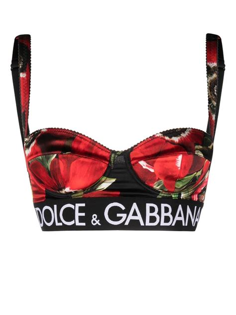 brasier dolce gabbana|dolce and gabbana underwear.